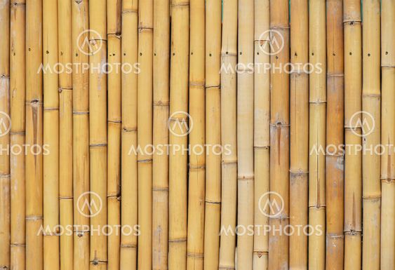 Natural yellow bamboo vertical bodies background