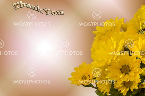 thank you ,decorative card with thanks,space for text entry
