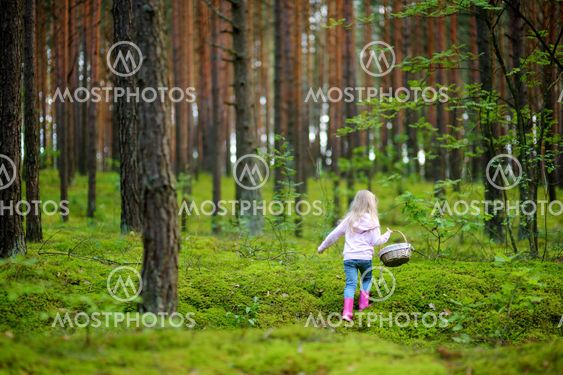 Adorable little girl picking foxberries in the forest