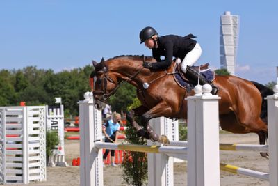 Malmo city horse show