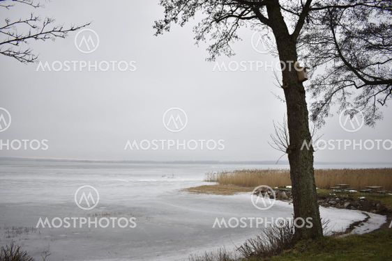 Kall vintermorgon