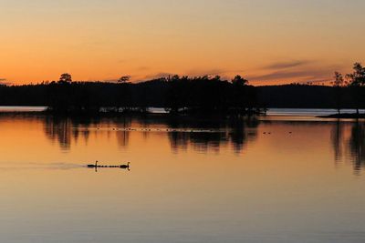  Quiet and peaceful... 