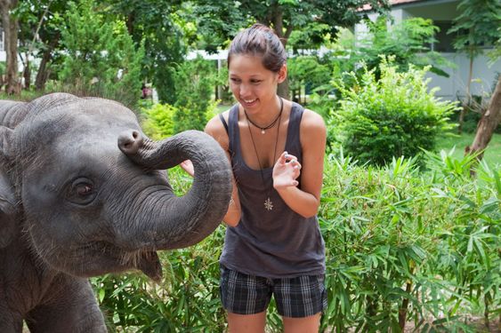 baby elephant play with female teenager