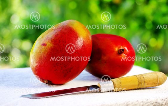 Two mangoes fruits and knife.