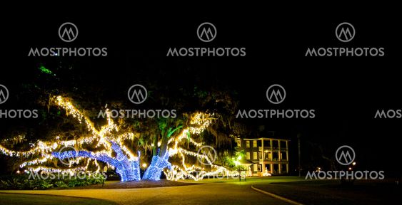 Tree Lights