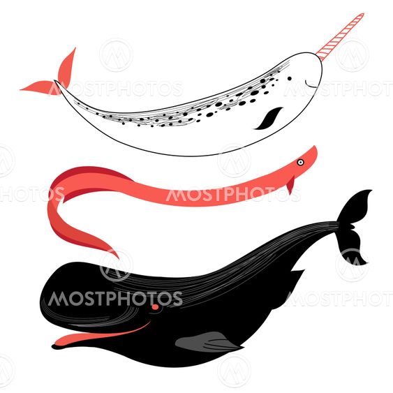 whales and marine fish