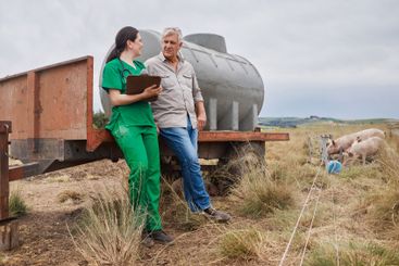 Vet, clipboard or people farming with animals or pigs...