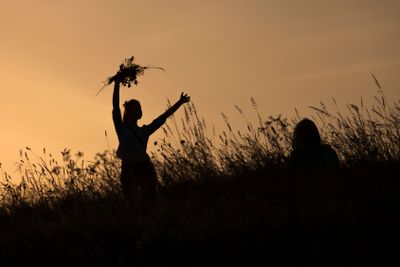Silhouettes of girl picking flowers during midsummer...