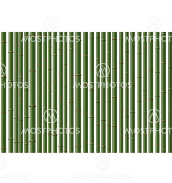 A bamboo background.