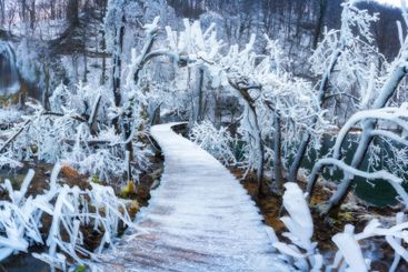 Bridge in ice, frozen branches with icicles on trees and...