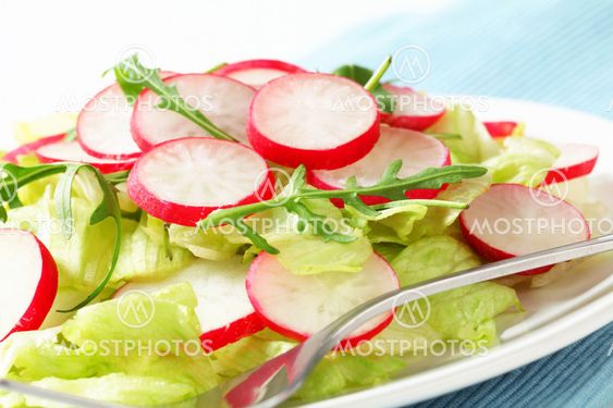 Fresh vegetable salad