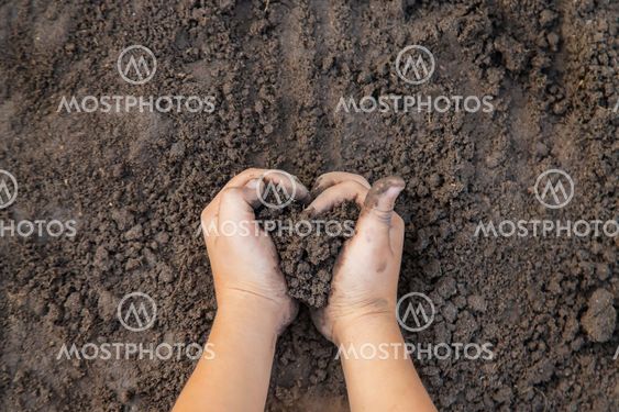 Child in the garden with the earth in his hands....