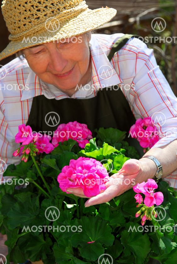 Senior woman gardening