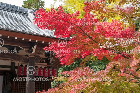 Kyoto, Japan - November 2016: Sekizan Zen-in, Japanese temple in Kyoto during autumn