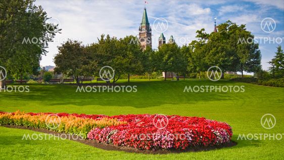 August Peace Tower