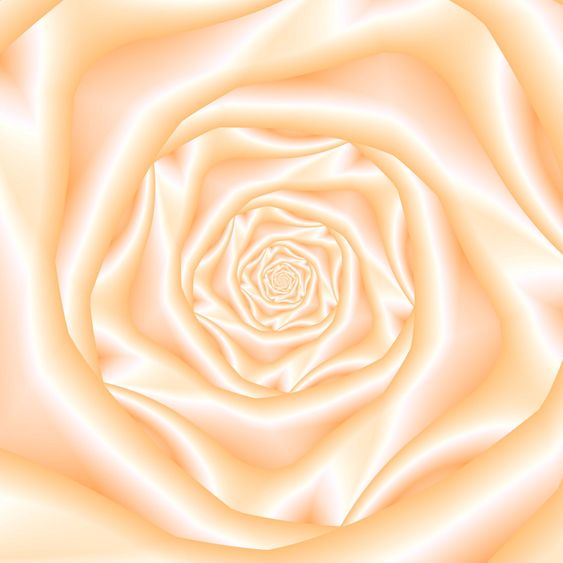 Pale Peach Spiral Rose