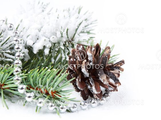 Christmas background with pine cone