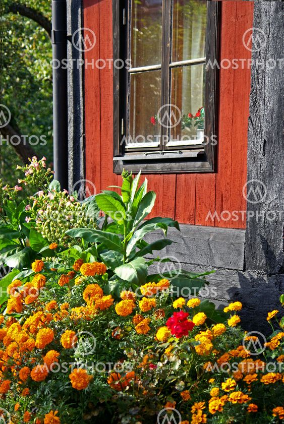 Autumn garden