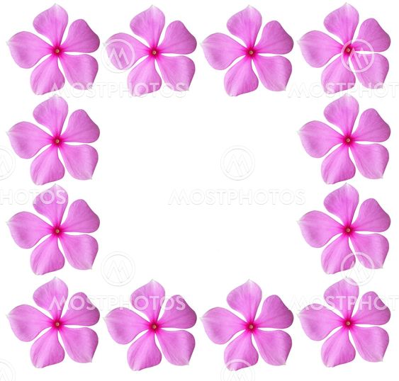 Pink blomster ramme med blanktegn