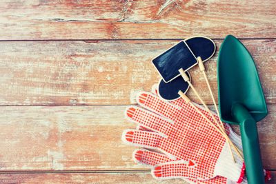 close up of trowel, nameplates and garden gloves