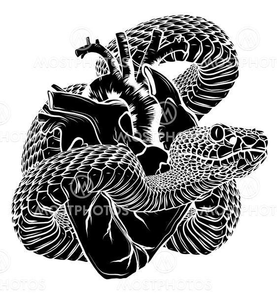 Snake farm tattoo - Bronctattooaus.com