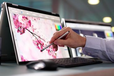 Office Designer At Work: Graphic Artist