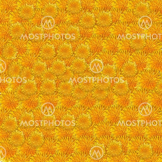 Textured summer dandelions background