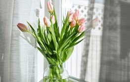 Bouquet of beautiful spring pink tulips in a vase on a...