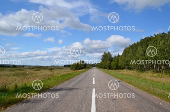 Road along wood