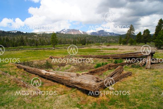 Log Cabin Remains