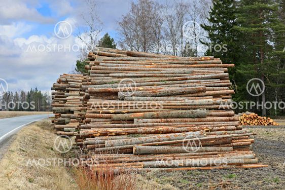 Roadside Timber Logs