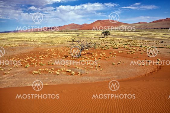 view from the une 45 near sossusvlei namibia africa