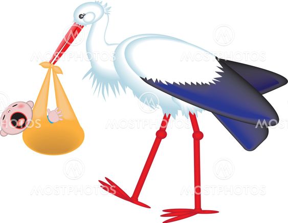Stork delivering a crying baby