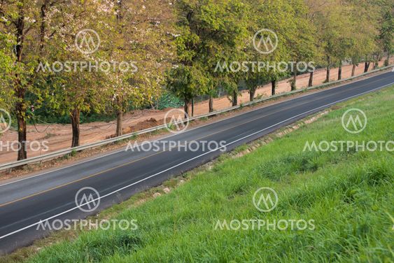 long road with tree and grass field around