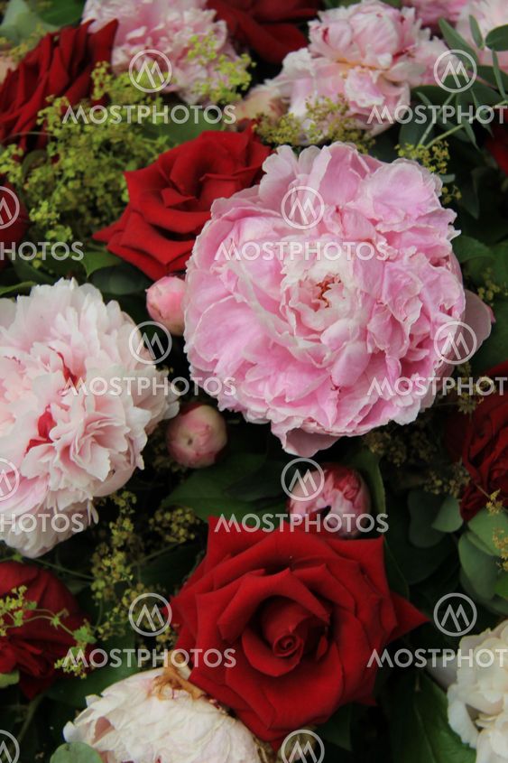 Peonies and roses in a bridal bouquet