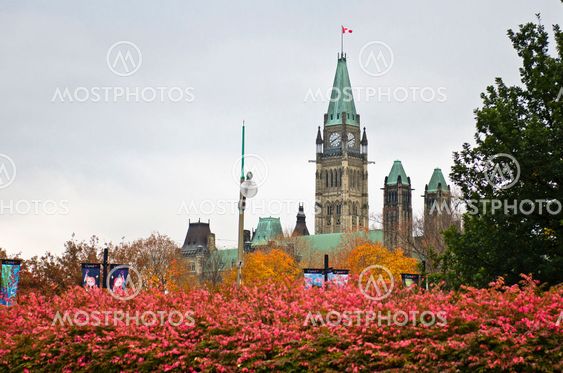 Autumn Towers