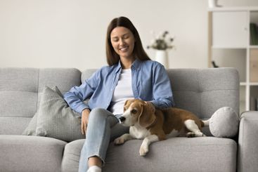 Beautiful young woman sitting on sofa with lovely beagle...