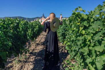 Young female walks through the vineyard. View from the back