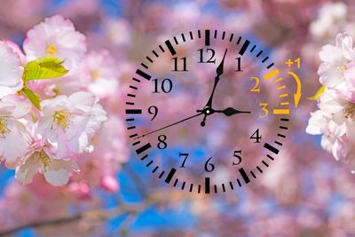 Daylight Saving Time. DST. Wall Clock going to winter...