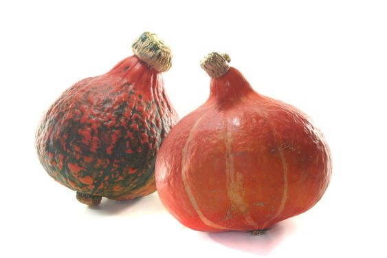 Pumpkin