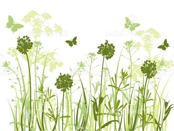 green grass background