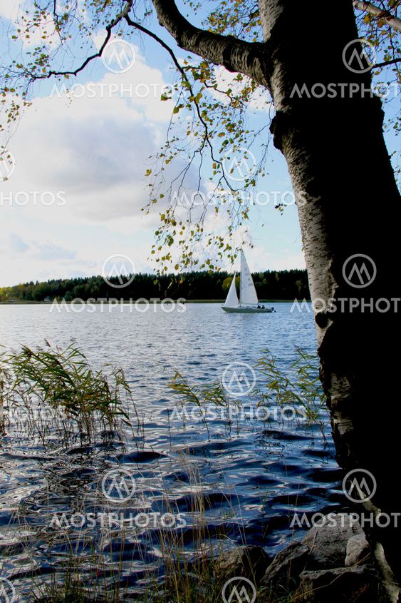 Sailing Trip