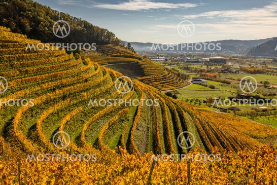 Blick vom Ortenberger Schloss