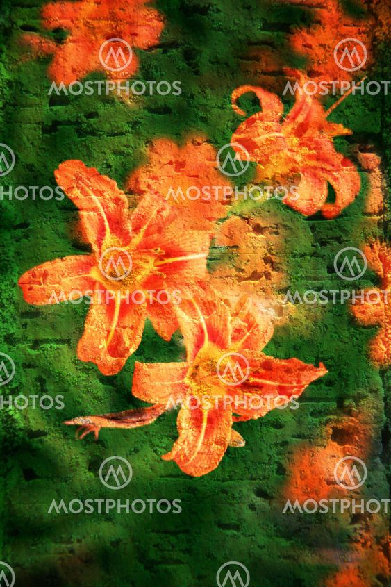 Double exposure of floral objects