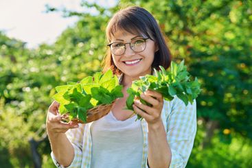 Smiling woman with mint leaf harvest in summer garden
