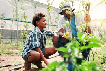 Father, child and farming in greenhouse, learning and...
