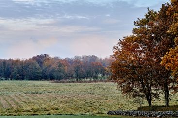Nature, sky and trees in park in Autumn with...