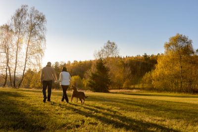 Couple walk dog autumn sunset countryside meadow