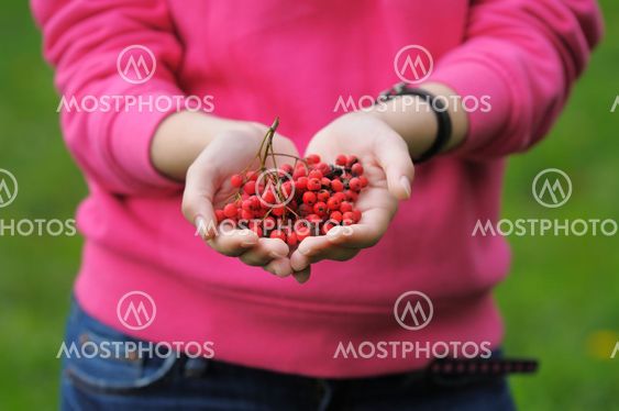 Ashberry