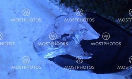 ice mermaid